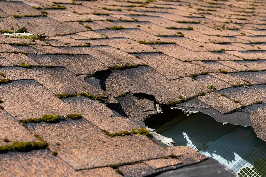 Local Roofing Maintenance Sammamish, WA Local Roofing Maintenance Sammamish, WA