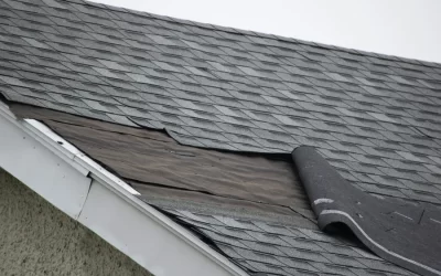 Prolonging Roof Lifespan Through Proper Maintenance