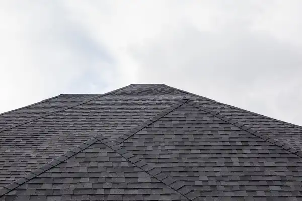 Roofing Maintenance