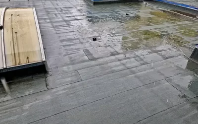 Signs Indicating Your Flat Roof Needs Leak Repair Services